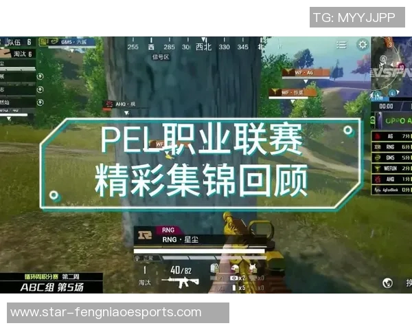 2026电竞新闻和平精英巨献揭秘RNG战队个人能力与团队协作的完美结合